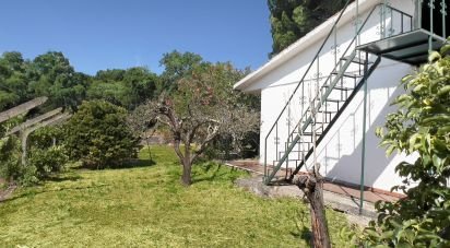 Maison T4 à Madalena e Beselga de 170 m²