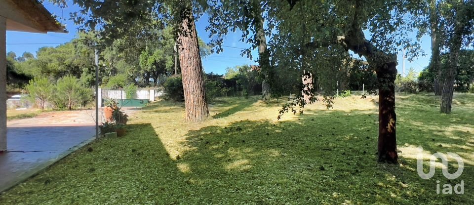 Moradia T4 em Madalena e Beselga de 170 m²