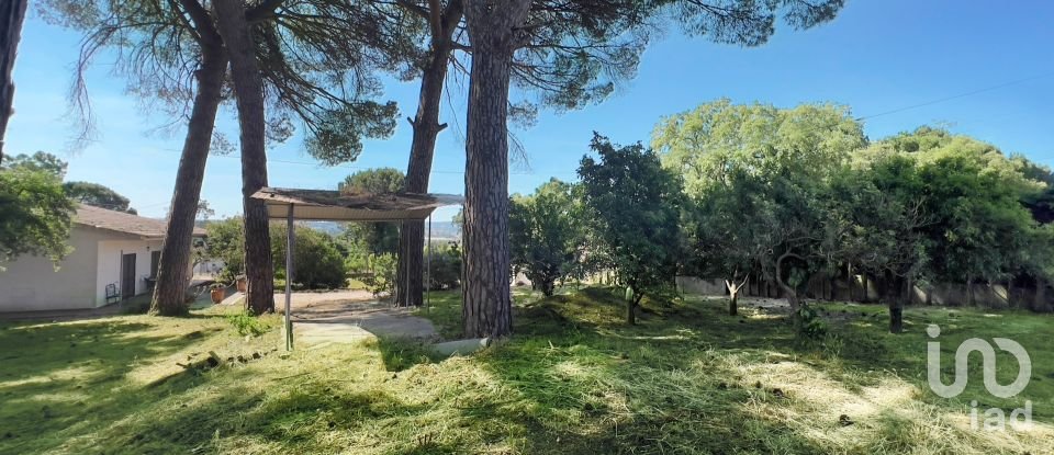 Moradia T4 em Madalena e Beselga de 170 m²