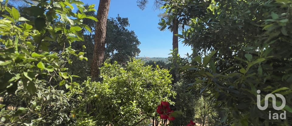 Moradia T4 em Madalena e Beselga de 170 m²