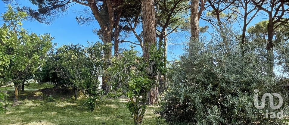 Moradia T4 em Madalena e Beselga de 170 m²