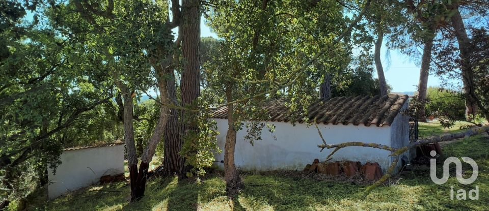 Moradia T4 em Madalena e Beselga de 170 m²