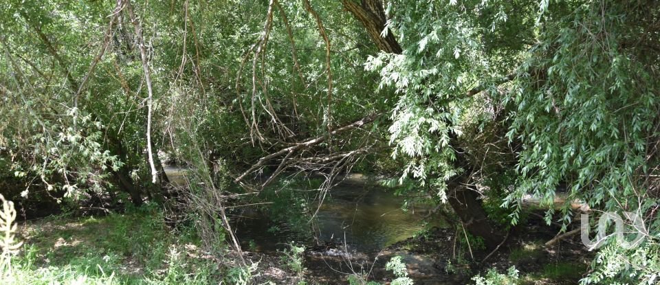 Terrain à Freixianda, Ribeira do Fárrio e Formigais de 2 840 m²