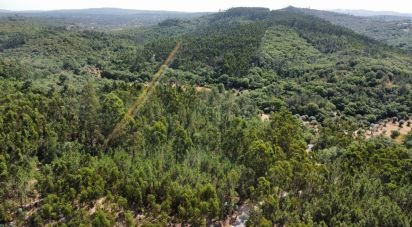 Terrain à Chãos de 1 480 m²