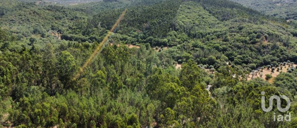 Land in Chãos of 1,480 m²