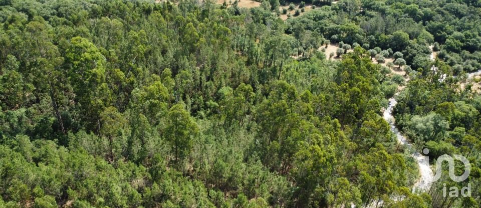 Land in Chãos of 1,480 m²