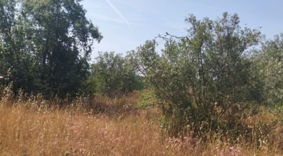Terrain à Chãos de 1 560 m²