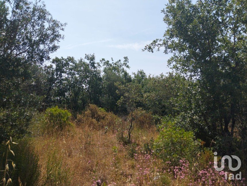 Terreno em Chãos de 1 560 m²