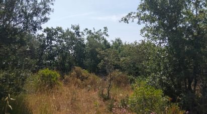 Terrain à Chãos de 1 560 m²