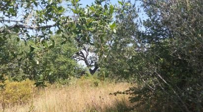 Terrain à Chãos de 1 560 m²