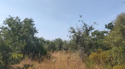 Terrain à Chãos de 1 560 m²