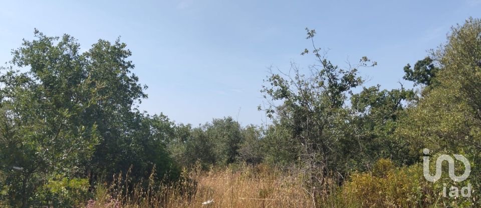 Terreno em Chãos de 1 560 m²