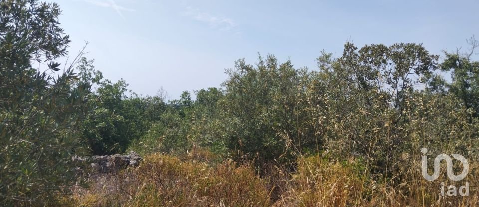 Terreno em Chãos de 1 560 m²