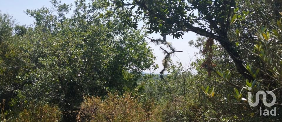 Terreno em Chãos de 1 560 m²