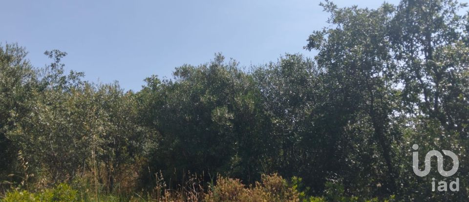 Terreno em Chãos de 1 560 m²