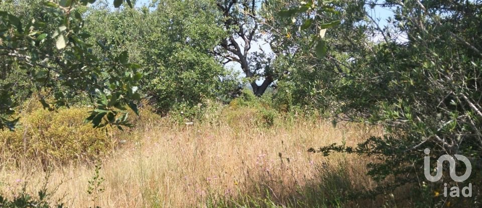 Terreno em Chãos de 1 560 m²
