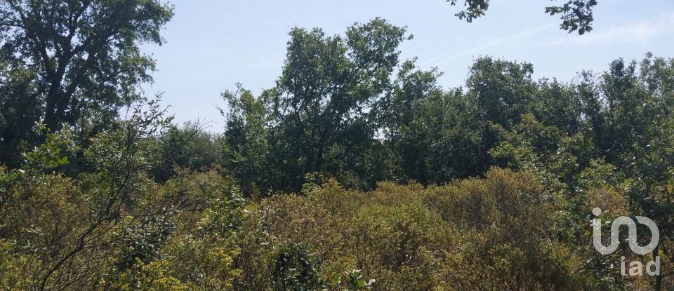 Terreno em Chãos de 1 560 m²