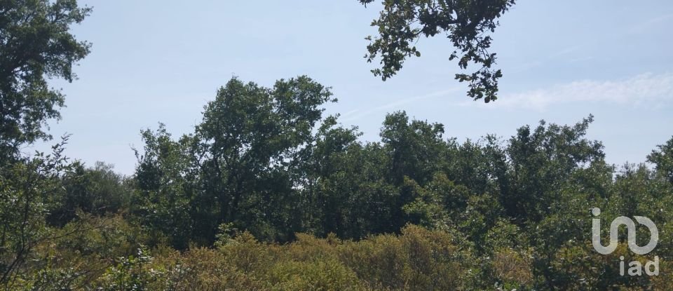 Terreno em Chãos de 1 560 m²