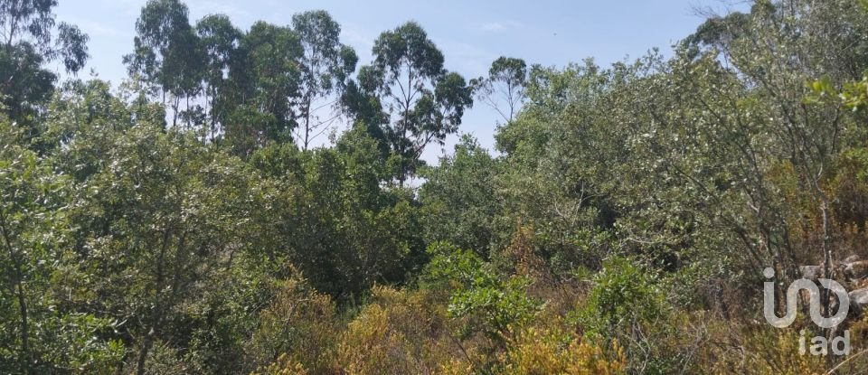 Terreno em Chãos de 1 560 m²