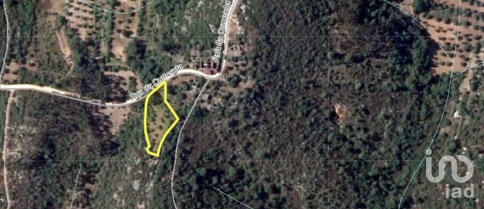 Terreno em Chãos de 1 560 m²