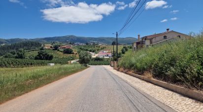 Terrain à Lamas e Cercal de 2 920 m²