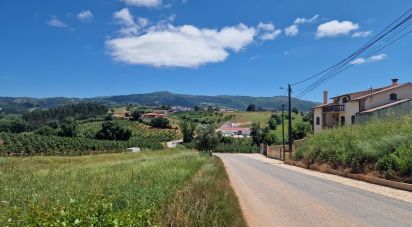Land in Lamas e Cercal of 2,920 m²