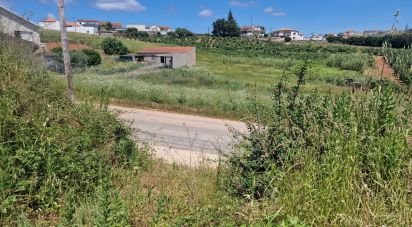 Land in Lamas e Cercal of 2,920 m²