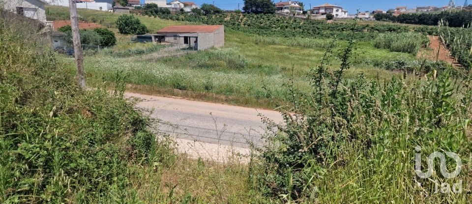 Land in Lamas e Cercal of 2,920 m²