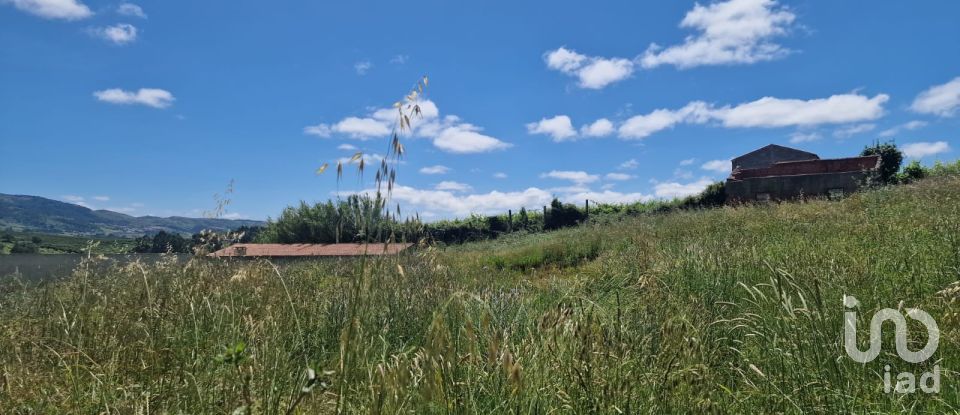 Land in Lamas e Cercal of 2,920 m²