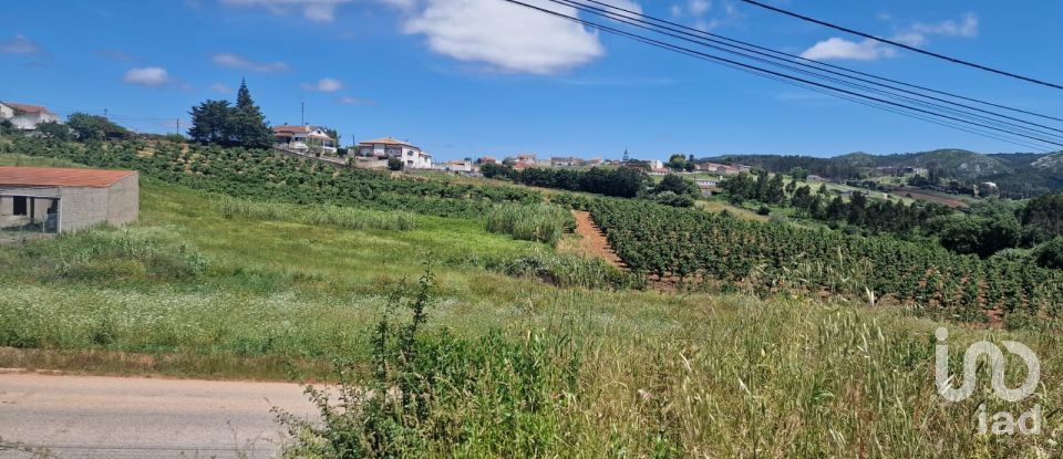 Land in Lamas e Cercal of 2,920 m²
