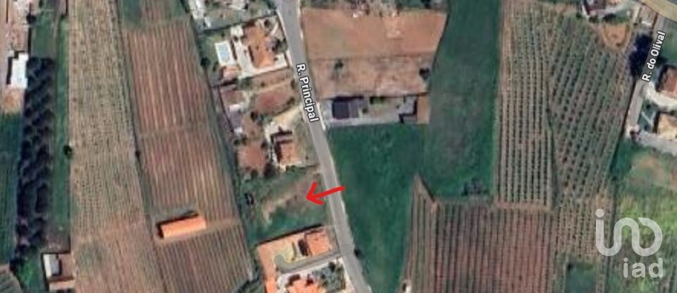 Land in Lamas e Cercal of 2,920 m²