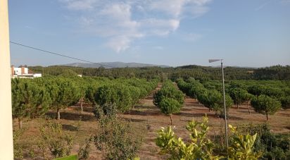 Terrain à bâtir à Cadaval e Pêro Moniz de 10 000 m²