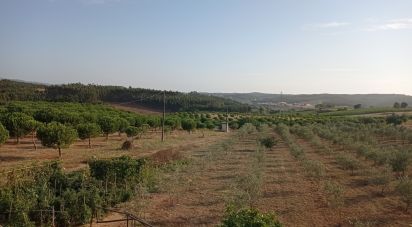 Terrain à bâtir à Cadaval e Pêro Moniz de 10 000 m²