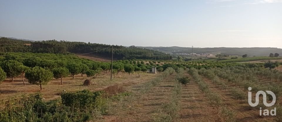 Terrain à bâtir à Cadaval e Pêro Moniz de 10 000 m²