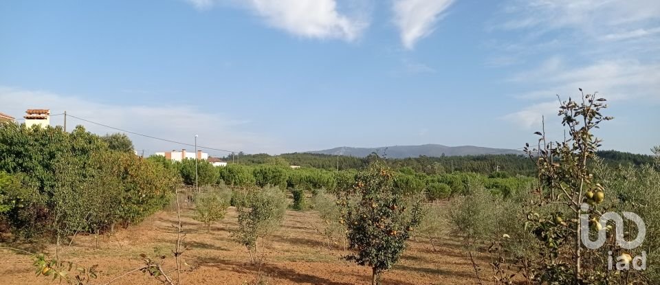 Terrain à bâtir à Cadaval e Pêro Moniz de 10 000 m²