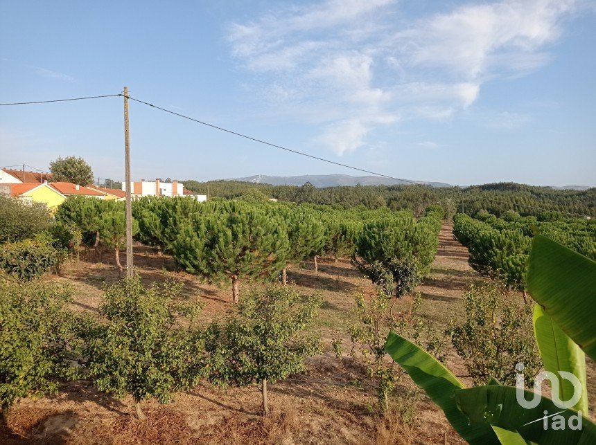 Terrain à bâtir à Cadaval e Pêro Moniz de 10 000 m²
