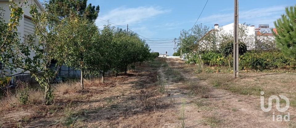 Terrain à bâtir à Cadaval e Pêro Moniz de 10 000 m²