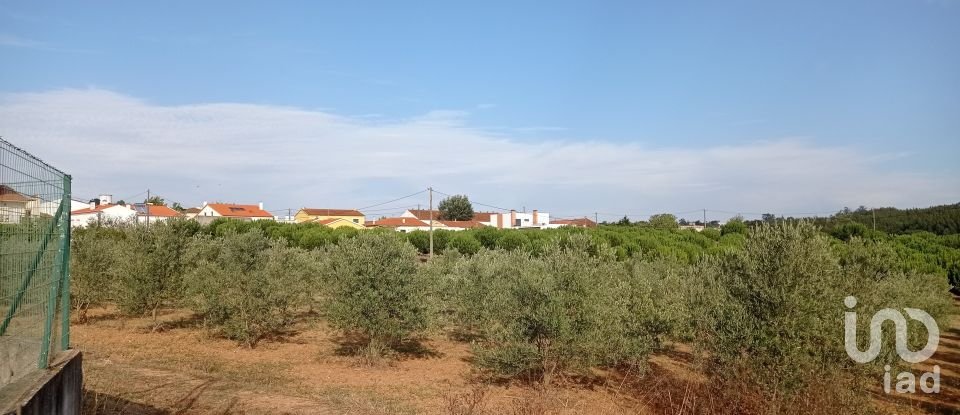 Terrain à bâtir à Cadaval e Pêro Moniz de 10 000 m²