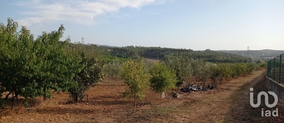 Terrain à bâtir à Cadaval e Pêro Moniz de 10 000 m²