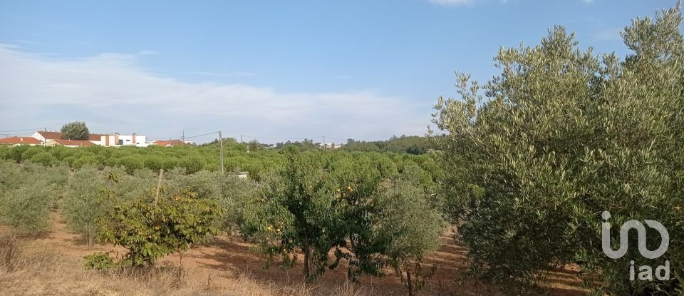 Terrain à bâtir à Cadaval e Pêro Moniz de 10 000 m²