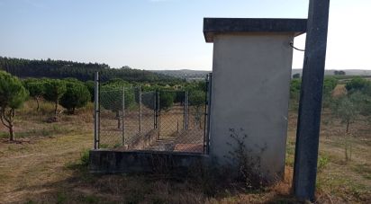 Terrain à bâtir à Cadaval e Pêro Moniz de 10 000 m²
