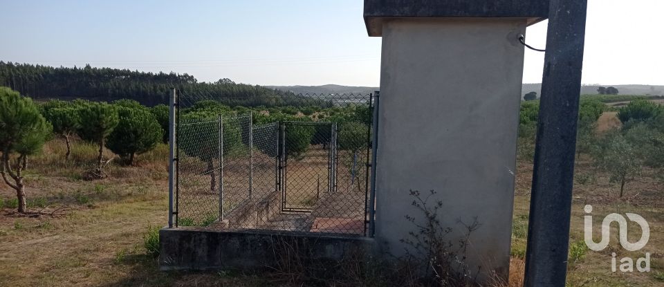 Terrain à bâtir à Cadaval e Pêro Moniz de 10 000 m²