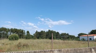 Terrain à Benavente de