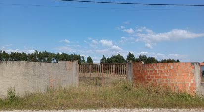 Terrain à Benavente de