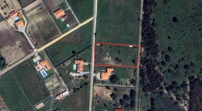 Terrain à Benavente de