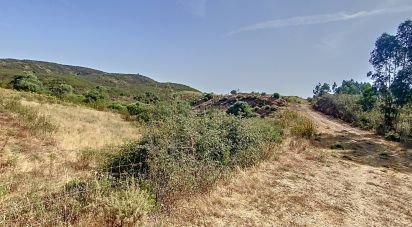 Terrain à Portimão de 12 250 m²