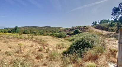 Terrain à Portimão de 12 250 m²