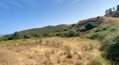 Terrain à Portimão de 12 250 m²