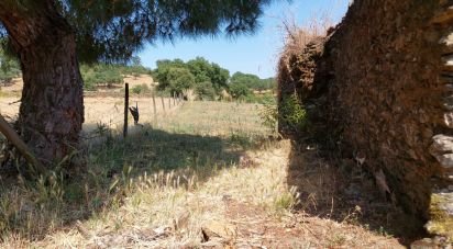 Block of flats in Alegrete of 115 m²