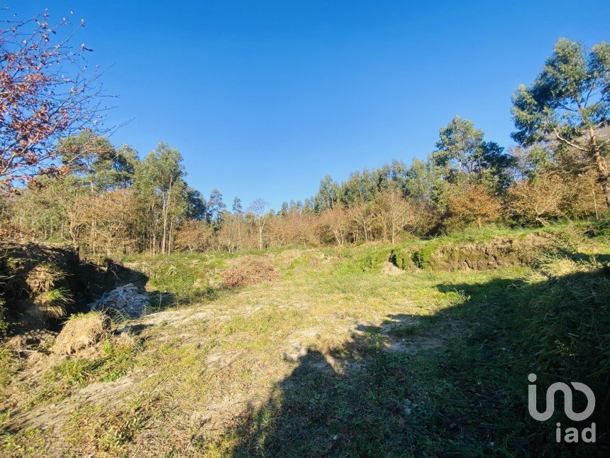Farm land in Sopo of 1,023 m²